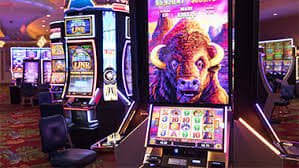 Pengalaman kasino langsung dengan dealer profesional di pwjitu, live casino tersedia 24 jam